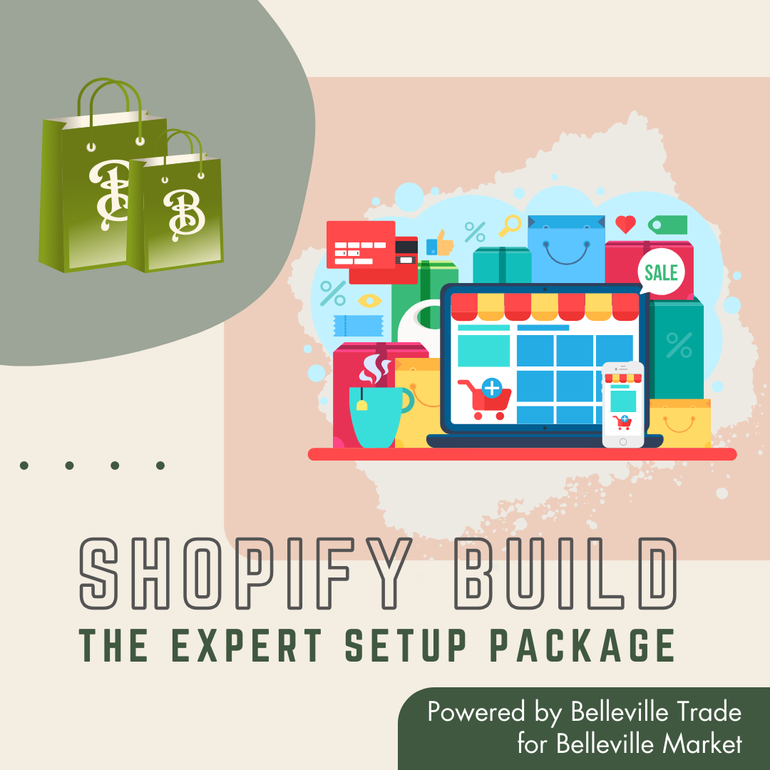 shopify expert shopify build shopify setup package 1