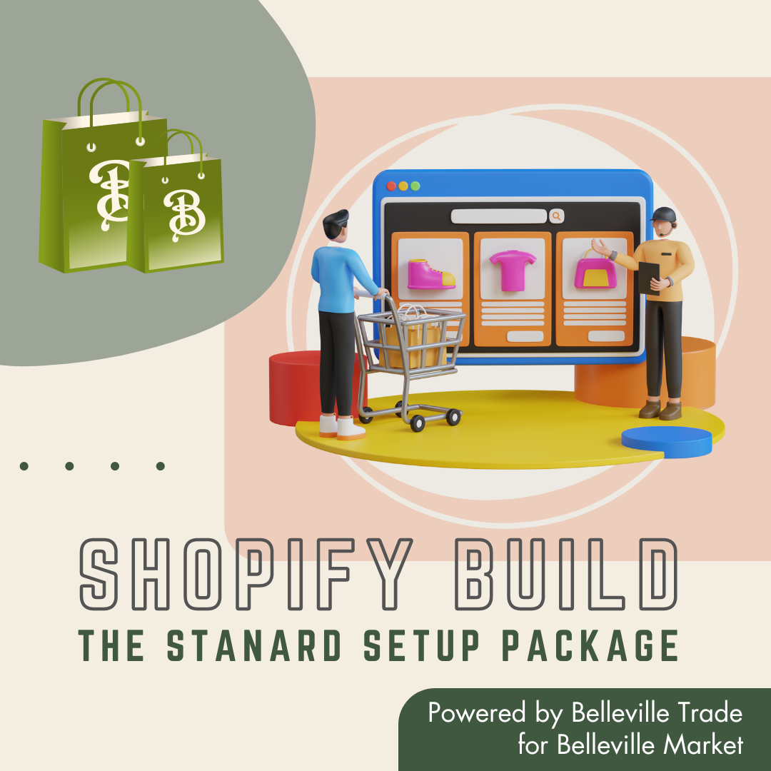 shopify startup service standard shopify build